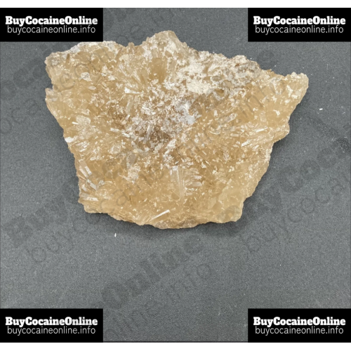 MDMA - Champagne MDMA - Champagne